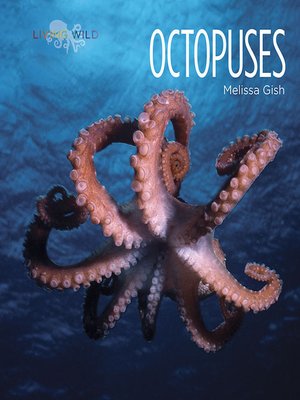 cover image of Octopuses